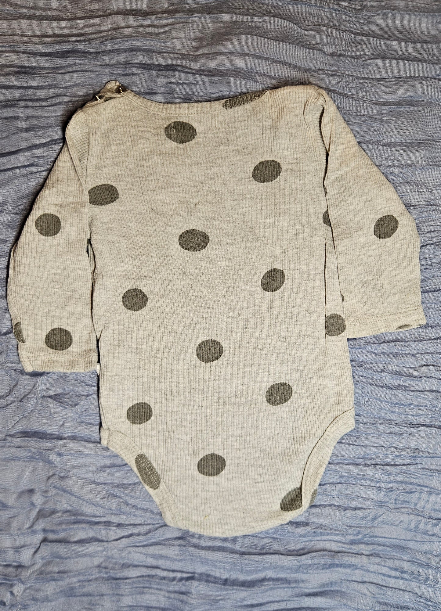 Body gris, lunares oscuros